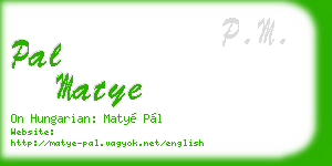 pal matye business card