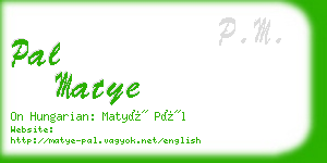 pal matye business card